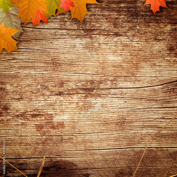 Fototapeta wooden background with the leafs