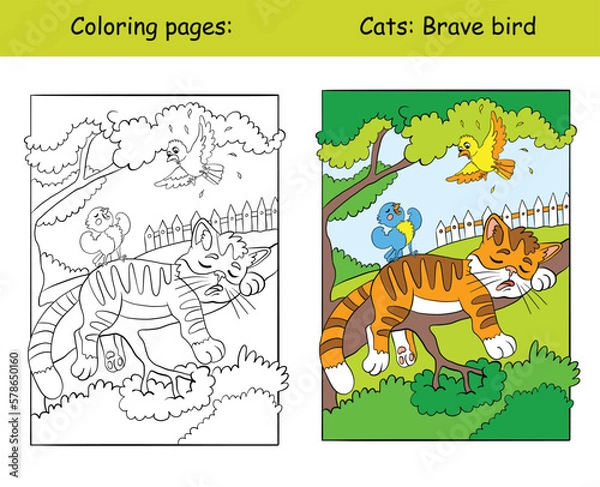 Fototapeta Coloring and color cat sleeping on a tree vector