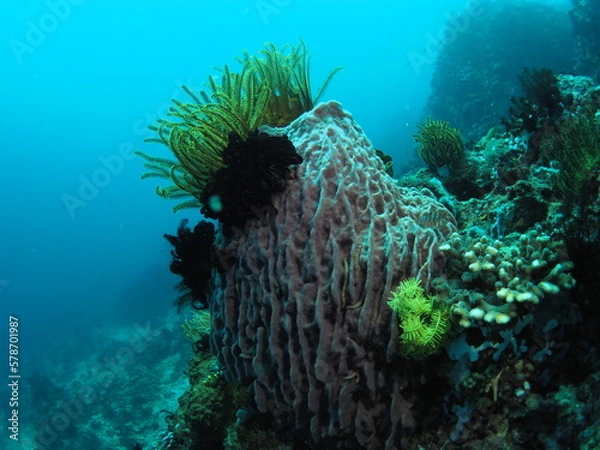 Obraz OLYMPUS DIGITAL CAMERA