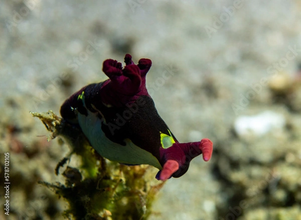 Obraz OLYMPUS DIGITAL CAMERA