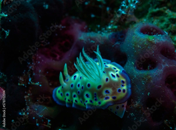 Obraz OLYMPUS DIGITAL CAMERA