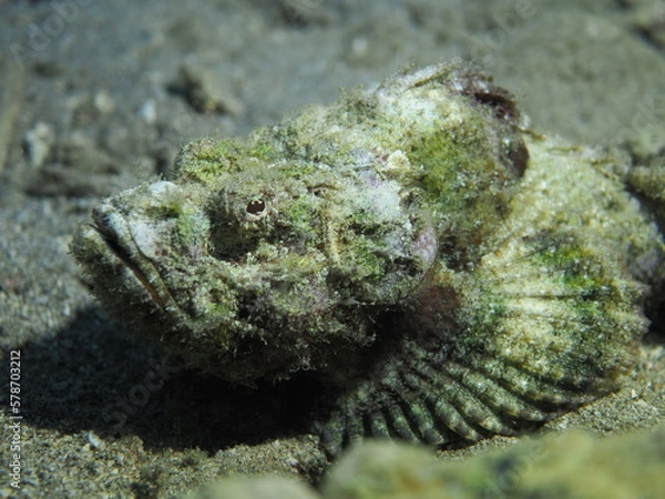 Obraz OLYMPUS DIGITAL CAMERA