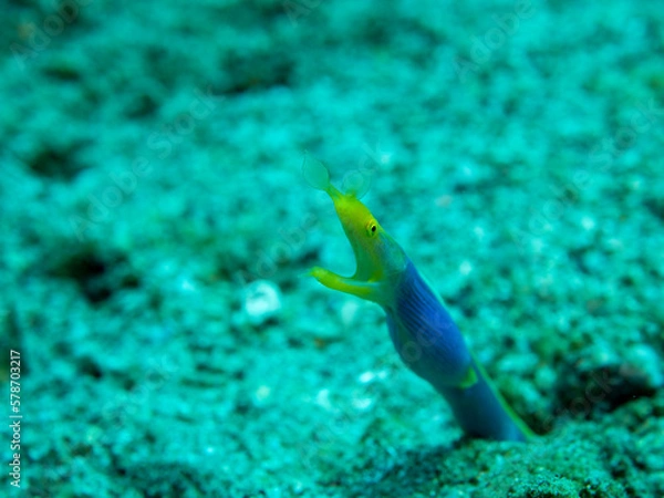 Obraz OLYMPUS DIGITAL CAMERA