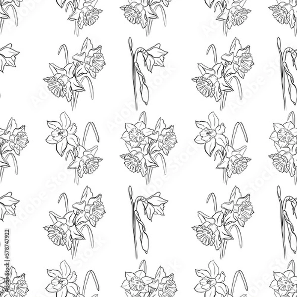Fototapeta Spring flowers collection daffodils of seamless pattern