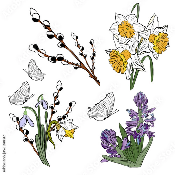 Fototapeta drawing bouquet with butterflies, willow branch and snowdrops