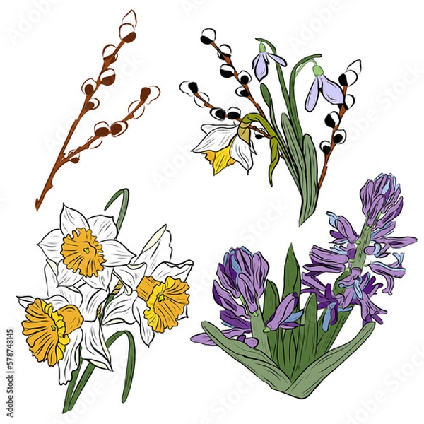 Fototapeta drawing bouquet with willow branch and snowdrops