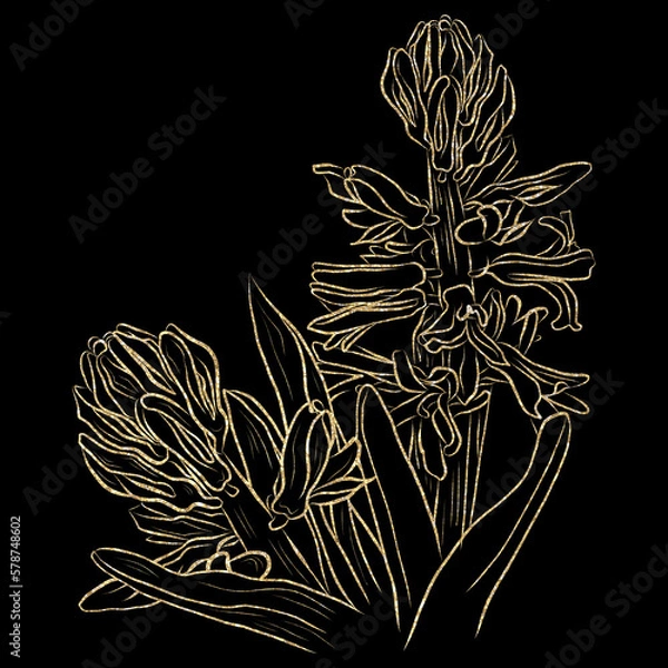 Fototapeta Hyacinth pattern golden line on black background