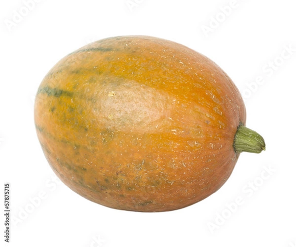 Fototapeta pumpkin on white background