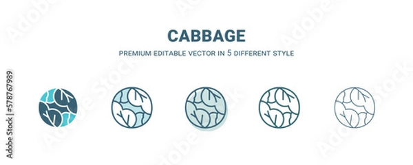 Obraz cabbage icon in 5 different style. Outline, filled, two color, thin cabbage icon isolated on white background. Editable vector can be used web and mobile