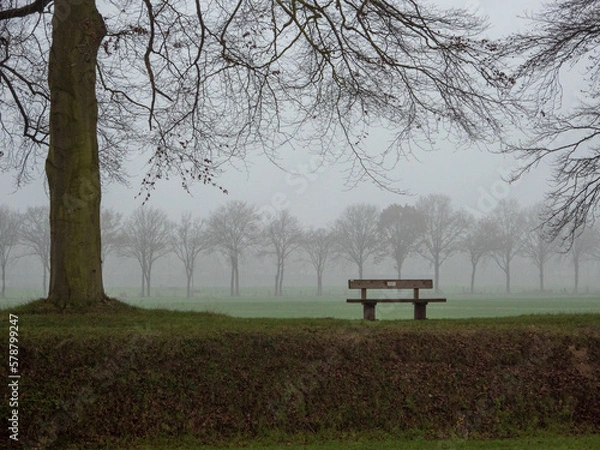 Obraz Bench in fog
