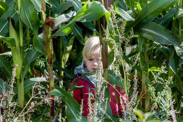 Obraz A little girl and a wild autumn cornfield