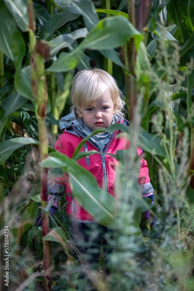 Obraz A little girl and a wild autumn cornfield