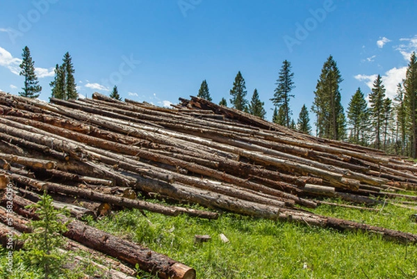 Obraz Logging Operations