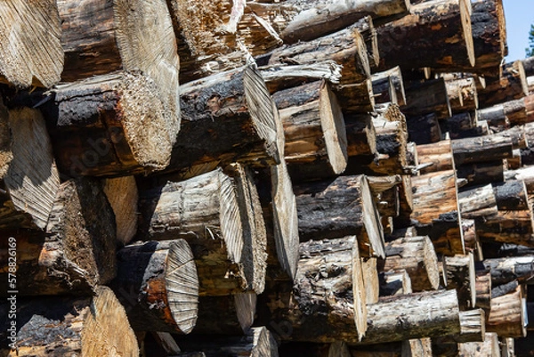 Obraz Logging Operations