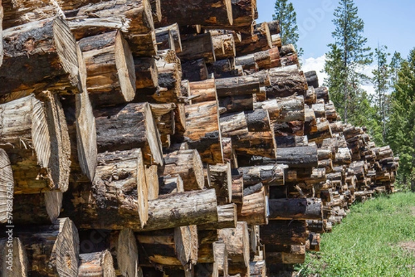 Obraz Logging Operations