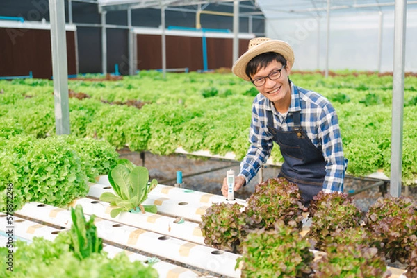 Fototapeta Young Asian smart farmer working in green oak hydroponic greenhouse, checking the balance of fertilizers in water and pesticide residues.