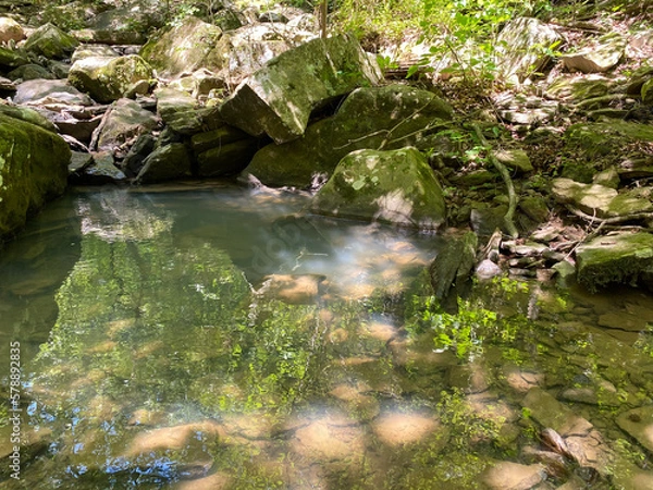 Obraz waterfall in the forest