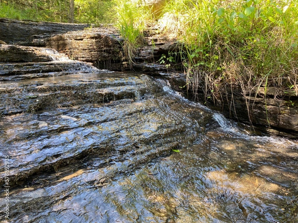 Obraz river in the forest