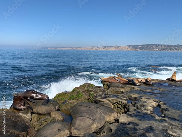 Obraz coast with rocks