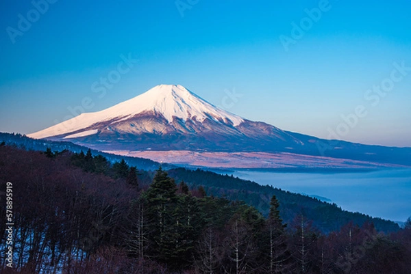 Fototapeta 忍野村から富士山と雲海