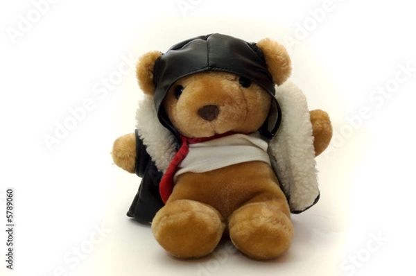 Fototapeta Biggles the bear