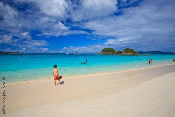 Obraz Picturesque Trunk Bay is a Caribbean paradise, one of the best snorkeling beaches in St John, US Virgin Islands