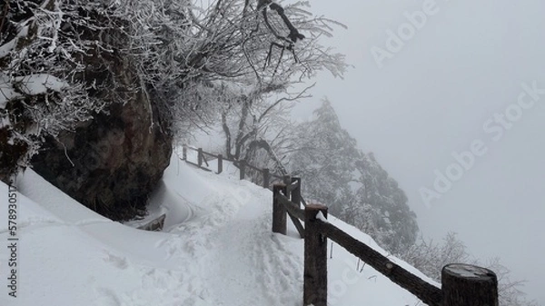 Obraz winter in the park