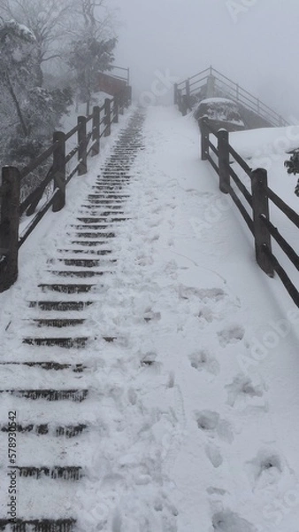 Obraz snow covered road