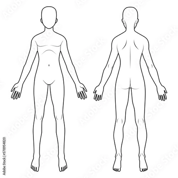 Obraz 人体図　前面背面男性