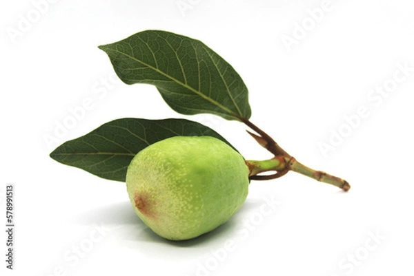Obraz Kakadu plum fruit isolated on white background