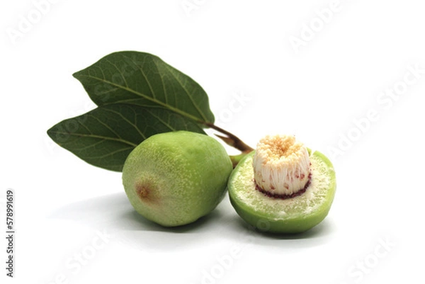 Obraz Kakadu plum fruit isolated on white background