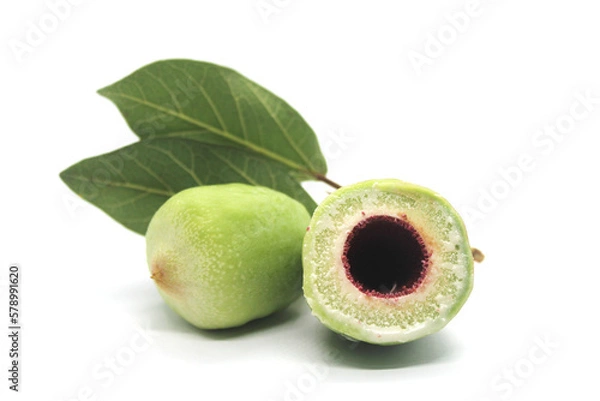 Obraz Kakadu plum fruit isolated on white background