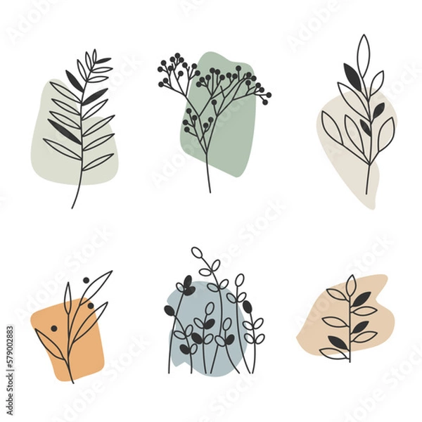 Obraz hand drawn plant elements, sprouts, branches, aesthetic template set