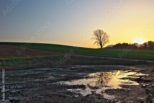 Fototapeta 美瑛町