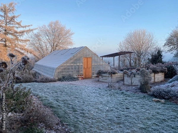 Obraz Greenhouse in winter