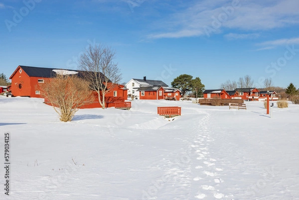 Fototapeta Winter on the coast of Helgeland in northern Norwa