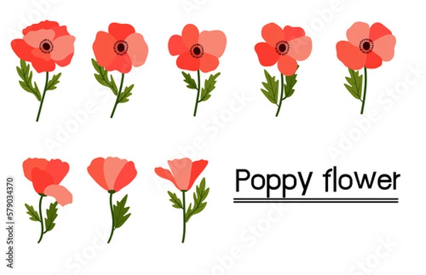 Fototapeta red poppies on white background