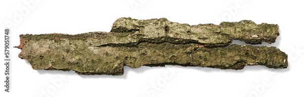Obraz Tree Bark