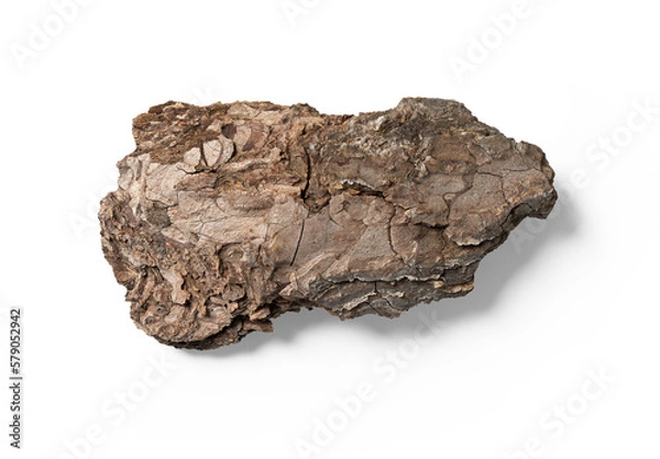 Fototapeta Tree Bark