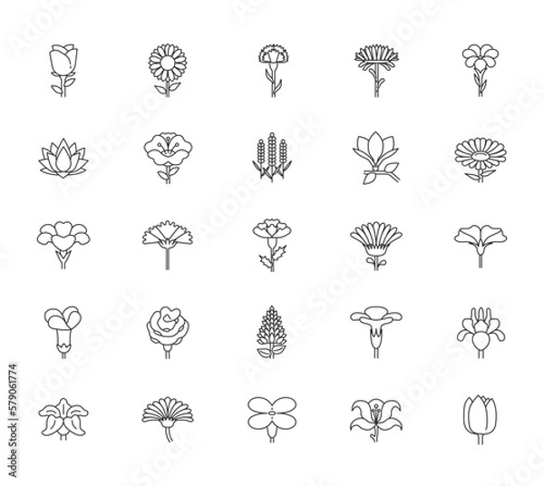 Fototapeta Collection of different flowers icon set. Premium quality objects. Vector illustration.