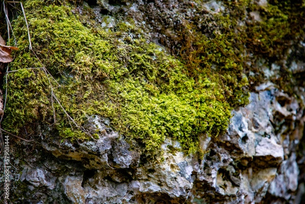 Fototapeta Wasserfall Bad Urach
