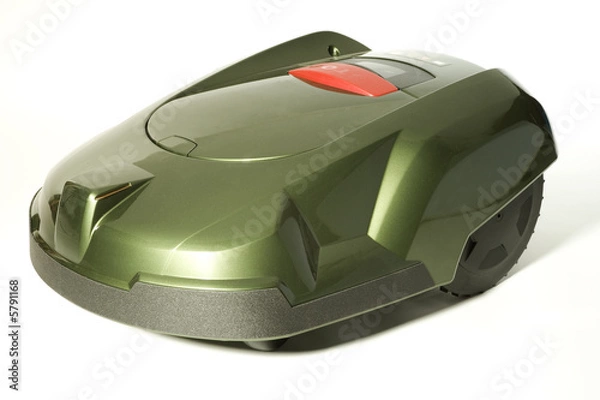 Obraz automatic lawnmower