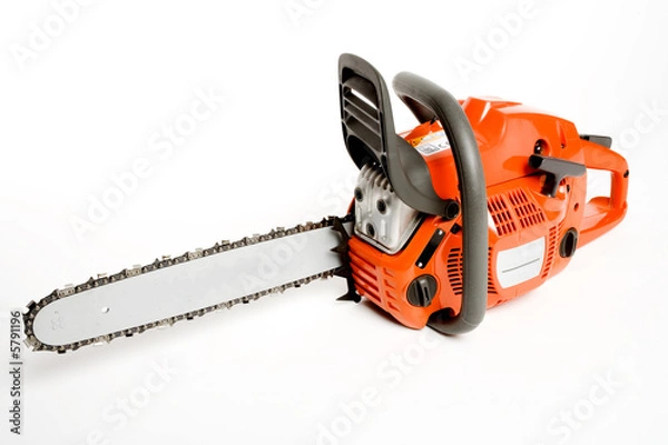 Obraz chainsaw