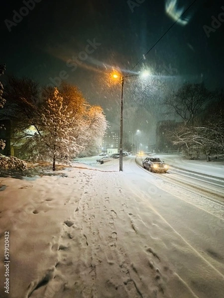 Obraz snow covered road