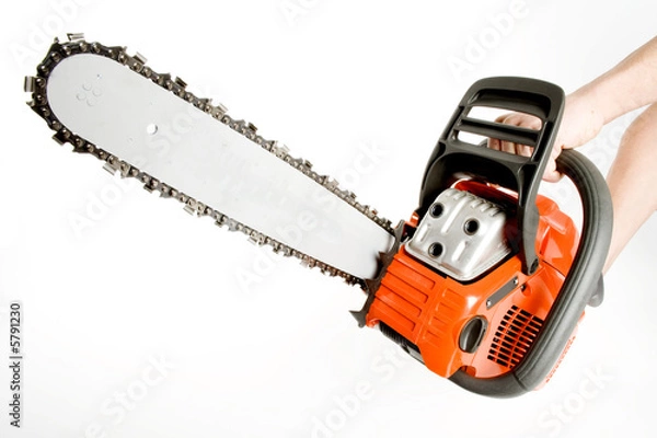 Obraz chainsaw