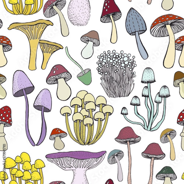 Fototapeta Seamless pattern with hand drawn mushrooms. Illustration in sketch style. Isolated on white.
