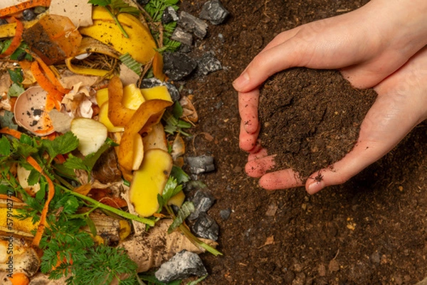 Fototapeta organic compost - biodegradable kitchen waste and soil. Layers of biowaste is covering with soil
