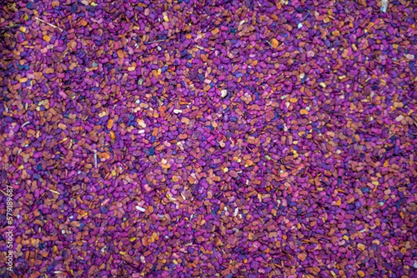 Fototapeta Top view of dried berries food texture and background
