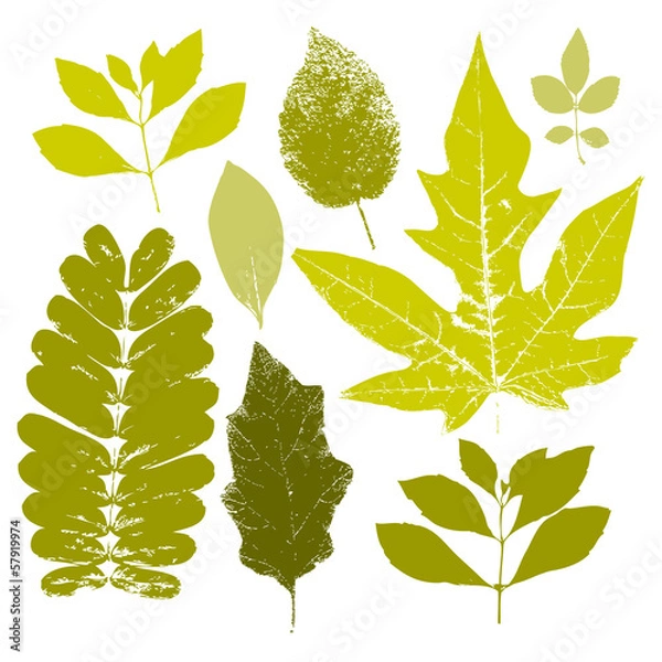 Fototapeta Fall leaves set