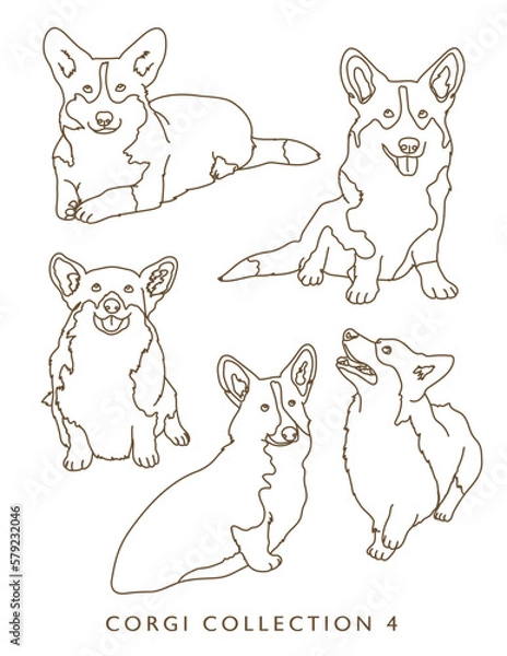 Fototapeta Corgi Dog Outline Illustrations in Various Poses Collection 4